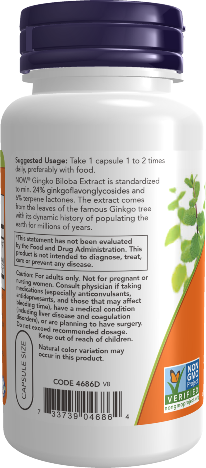 NOW Supplements, Ginkgo Biloba 60 mg, 24% Standardized Ext., 60 Veg Caps