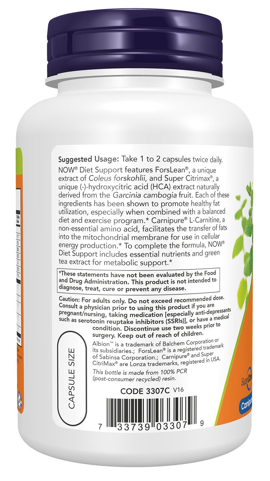 NOW Supplements, Diet Support with ForsLean®, 120 Veg Caps
