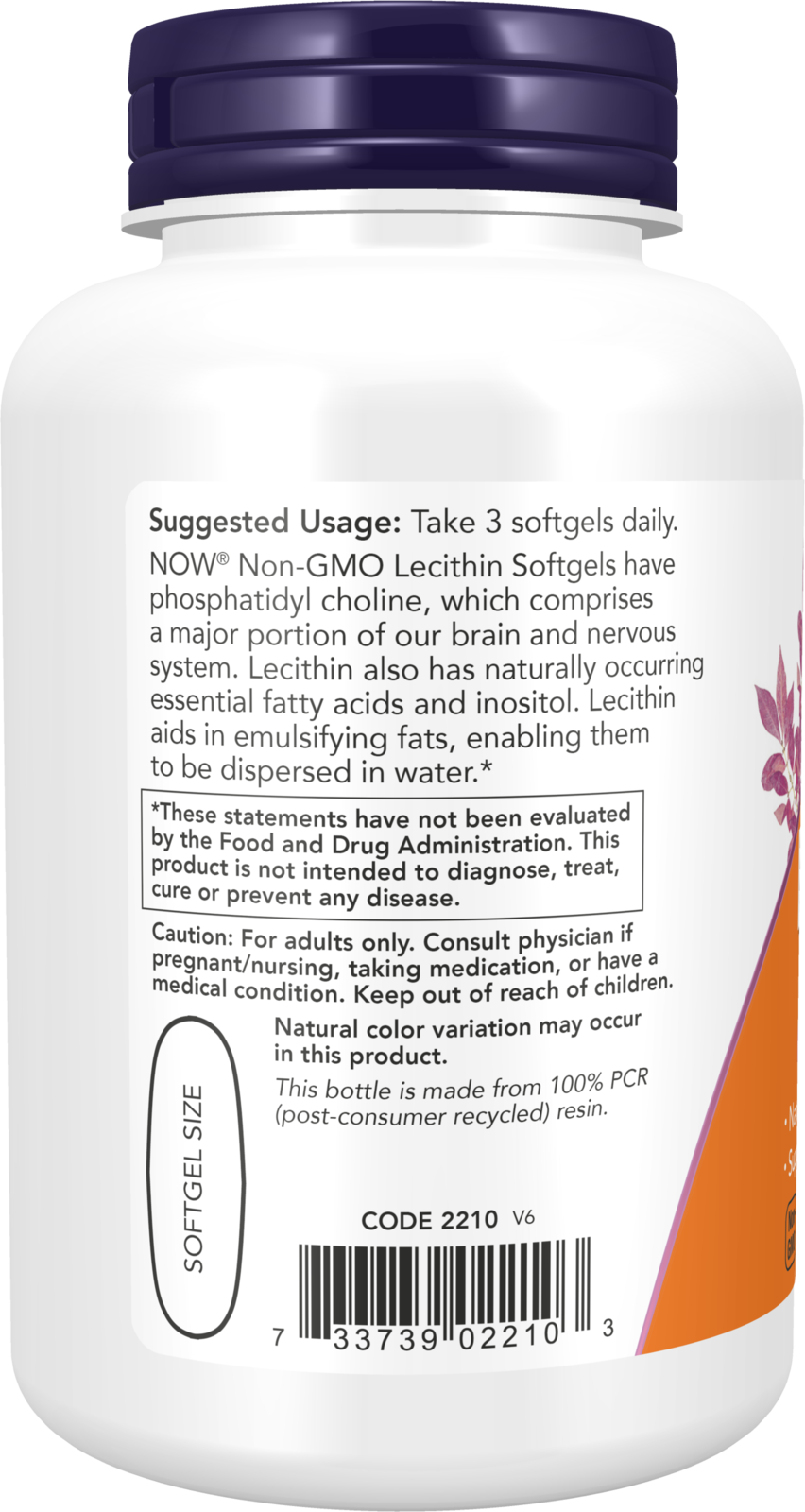 NOW Supplements, Lecithin 1200 mg, Phosphatidyl Choline, 100 Softgels