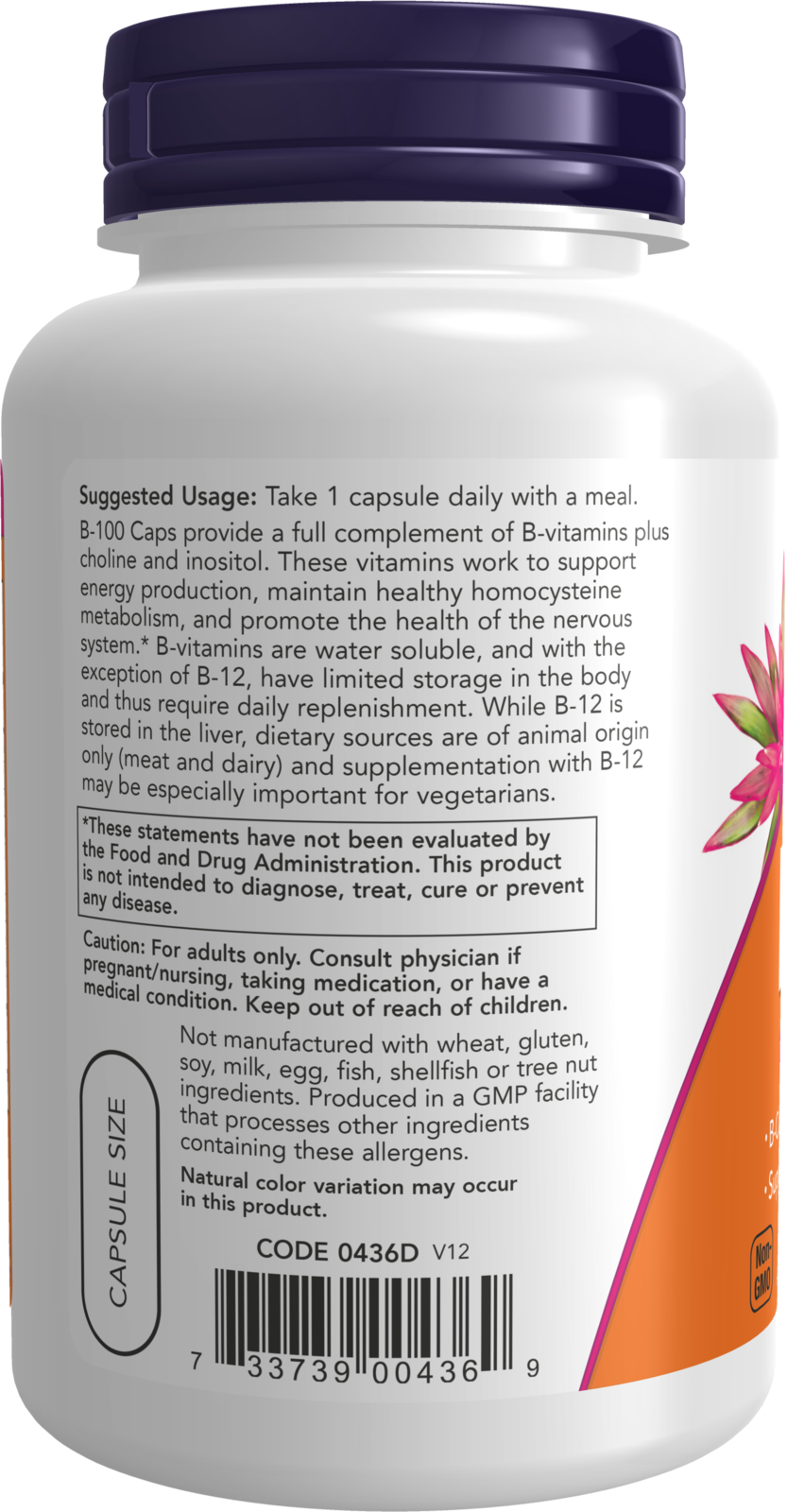NOW Supplements, Vitamin B-100, Energy Production*, 100 Veg Caps
