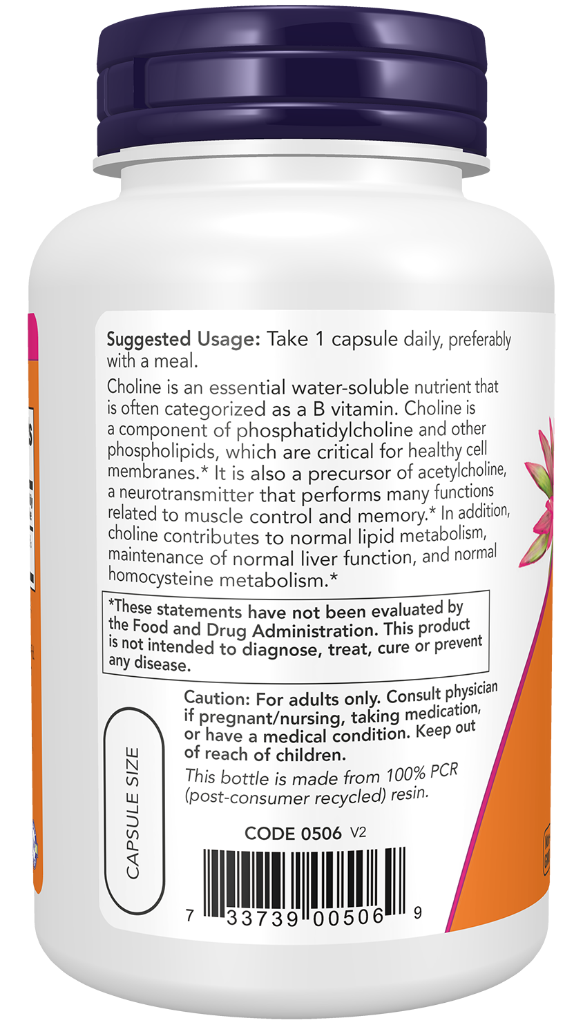 NOW Supplements Choline 300 mg, 100 Veg Capsules - Supports Nervous System and Liver Health*, Vegan