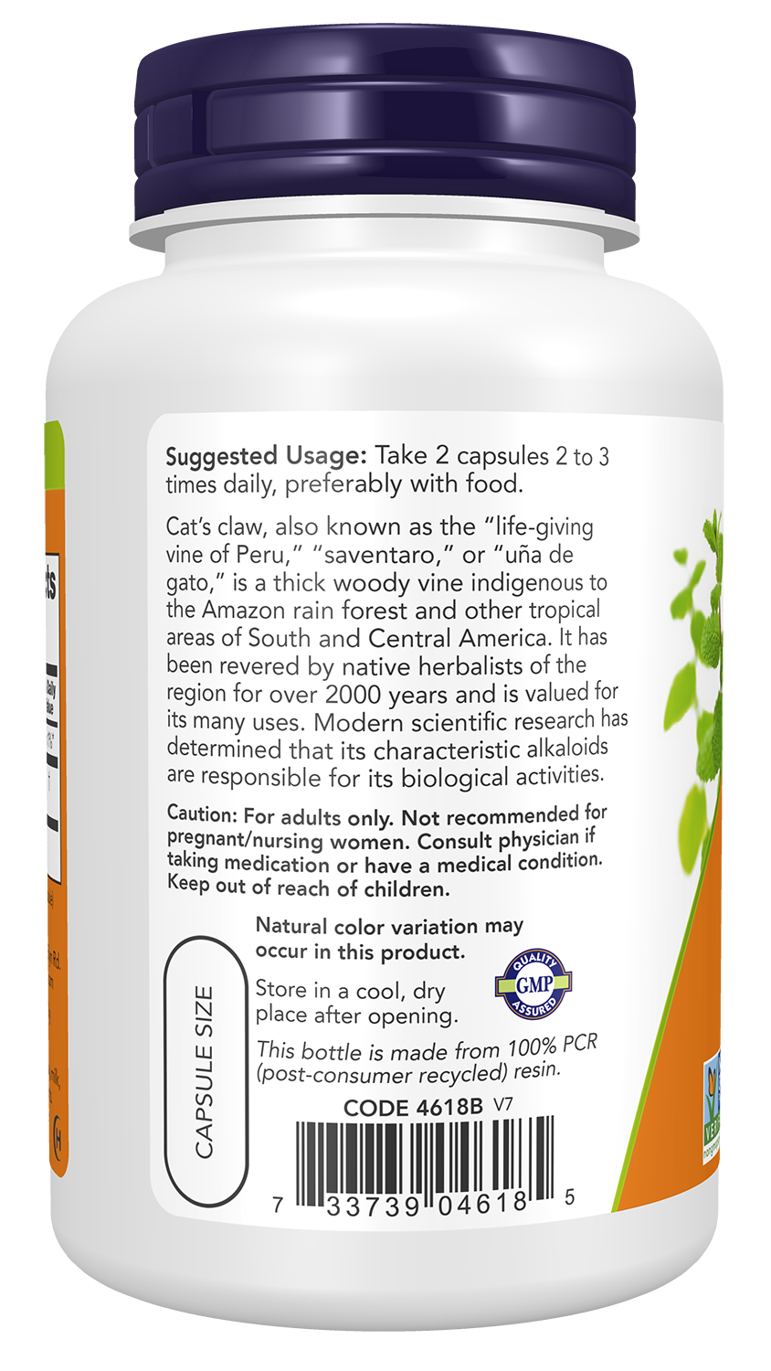 NOW Supplements, Cat's Claw 500 mg,Herbal Supplement, 100 Veg Caps