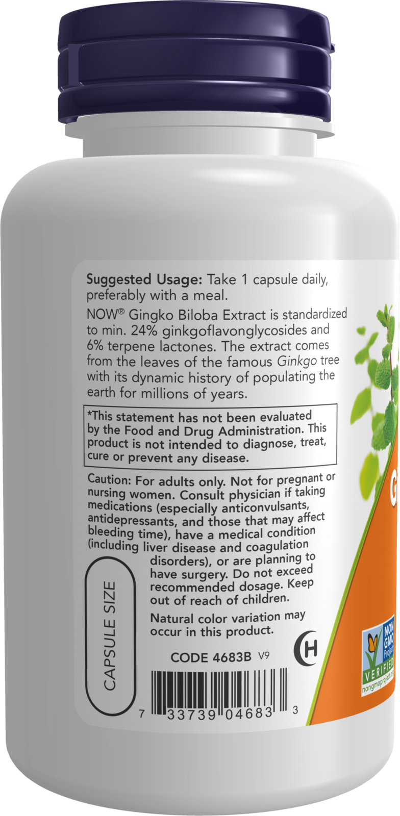 NOW Supplements, Ginkgo Biloba 120 mg, Double Strength, 100 Veg Caps