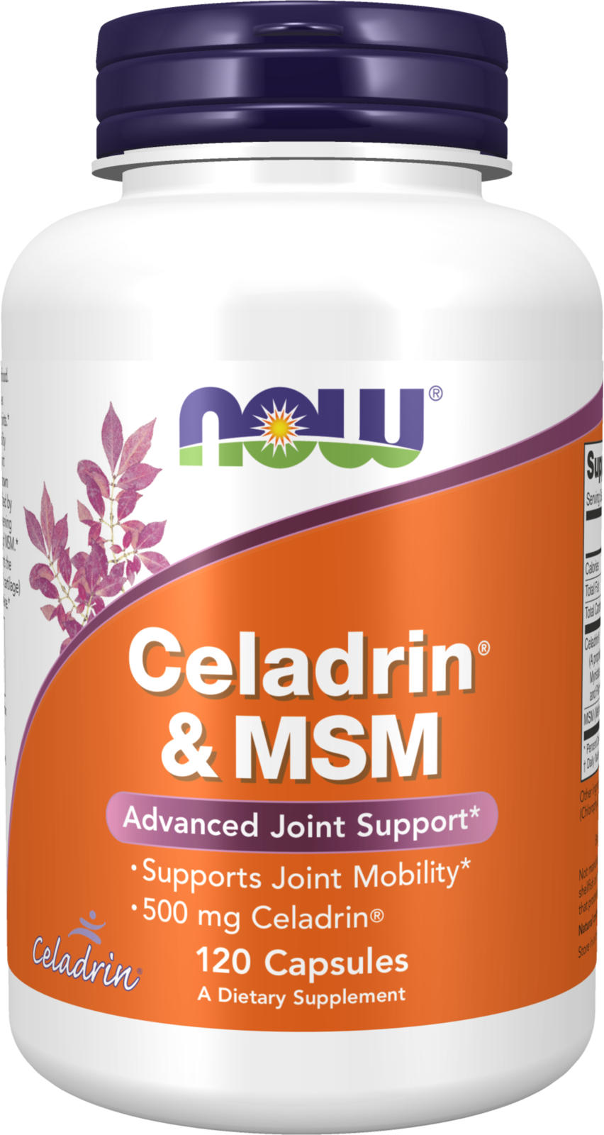 NOW Supplements, Celadrin® & MSM, 500 mg of Celadrin®, 120 Caps