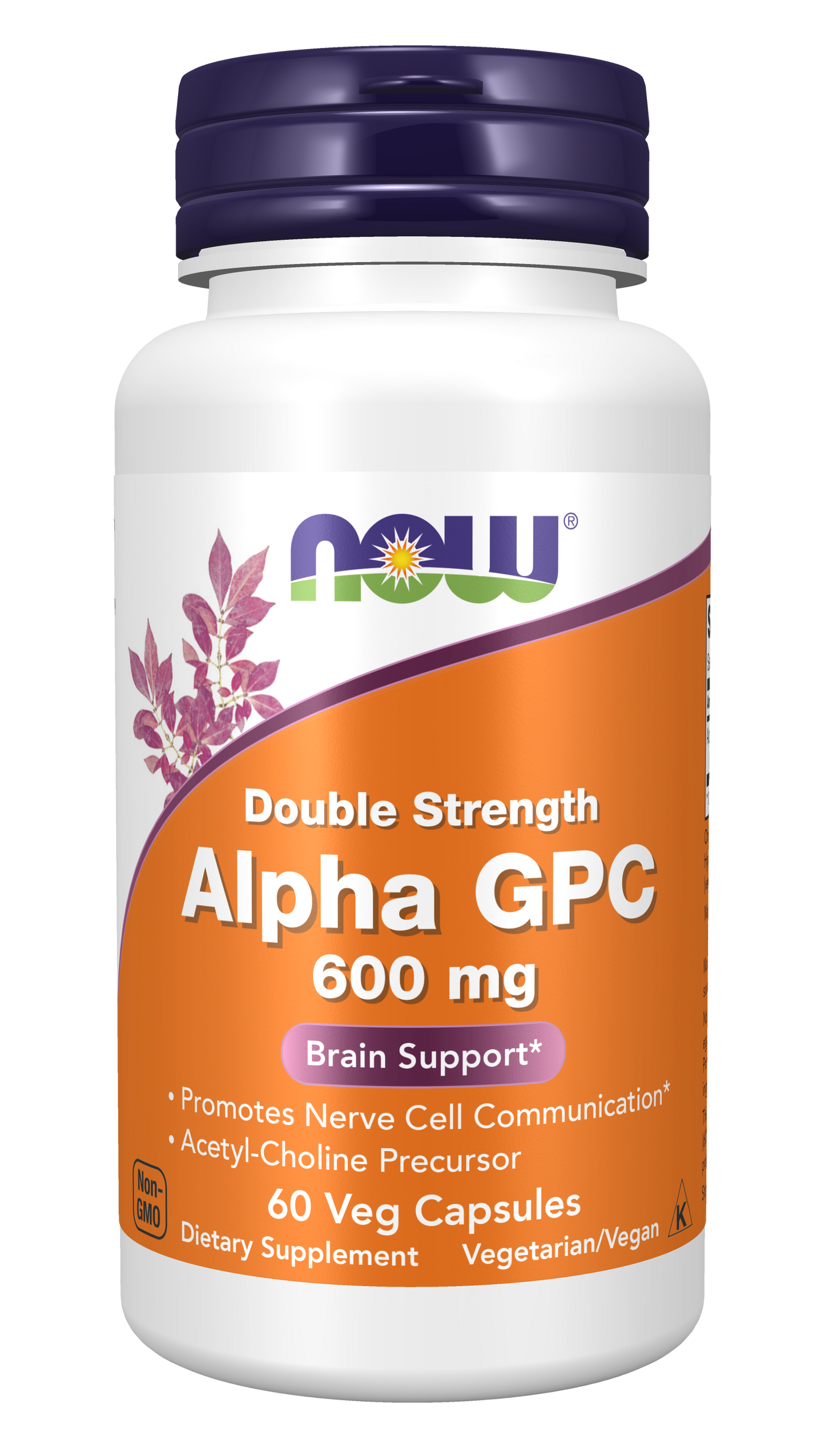 NOW Supplements, Alpha GPC 600 mg, Brain Support*, 60 Veg Caps