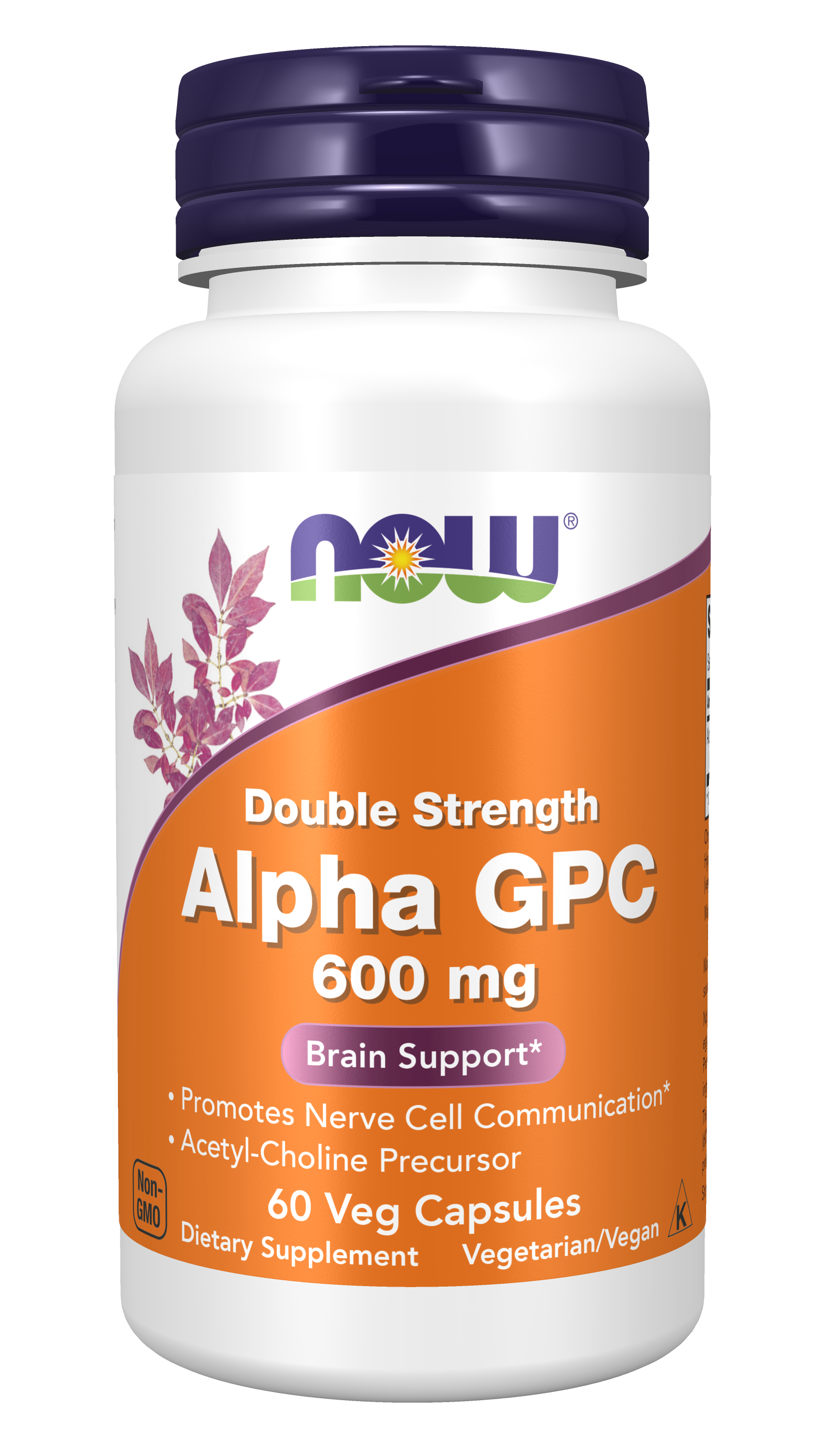 NOW Supplements, Alpha GPC 600 mg, Brain Support*, 60 Veg Caps