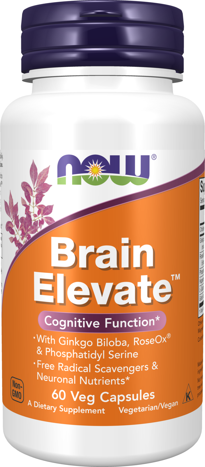 NOW Supplements, Brain Elevate™, Ginkgo Biloba & RoseOx®, 60 Veg Caps