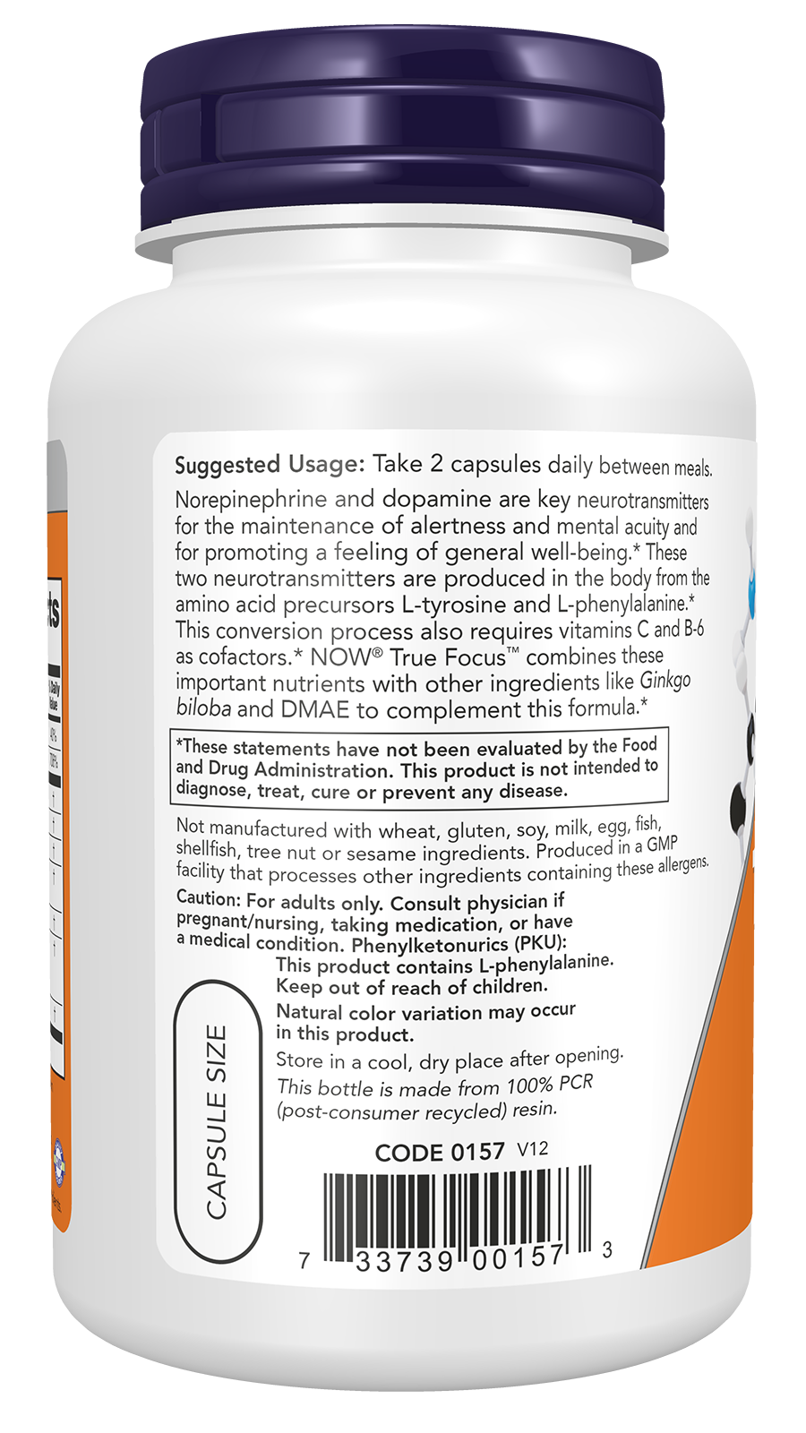 NOW Supplements, True Focus, with Amino Acids, DMAE + CoQ10, 90 Veg Caps