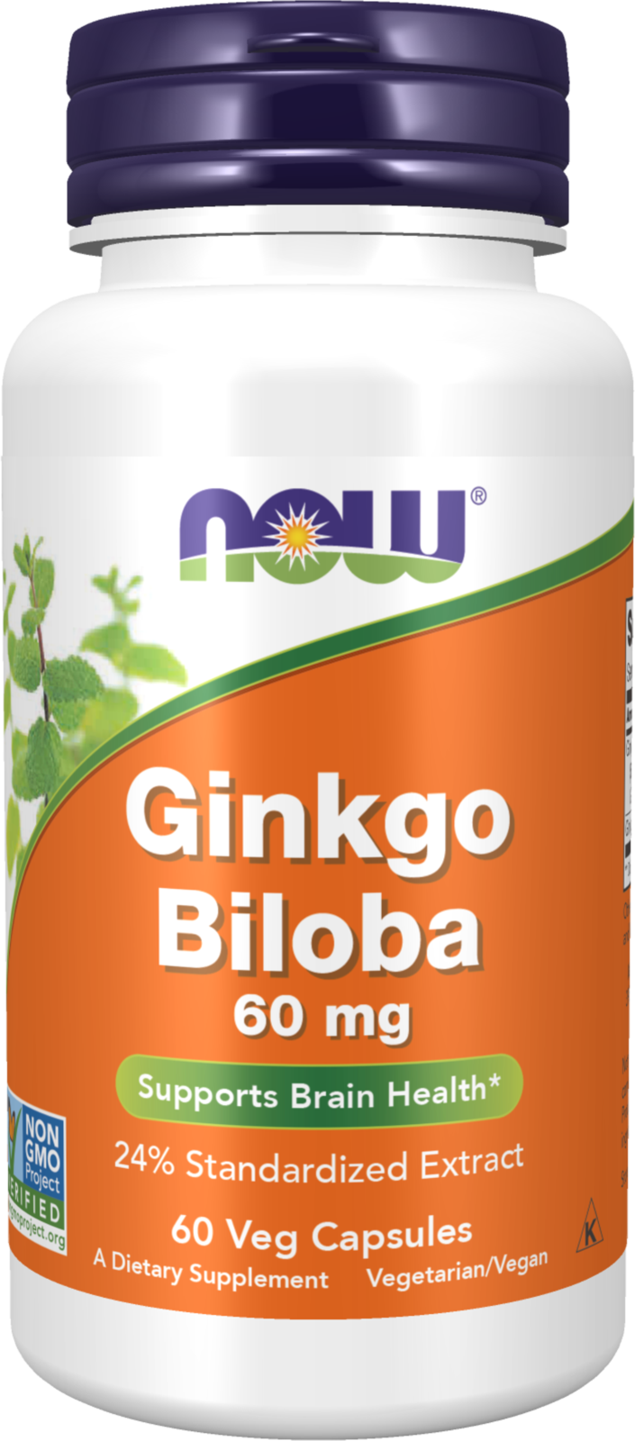 NOW Supplements, Ginkgo Biloba 60 mg, 24% Standardized Ext., 60 Veg Caps