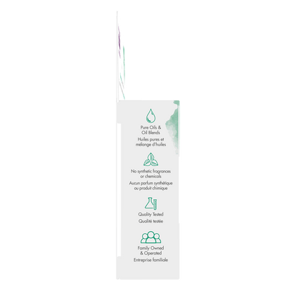 NOW Essential Oils, Seasonal Changes Balancing Aromatherapy Kit, 4x 10mL