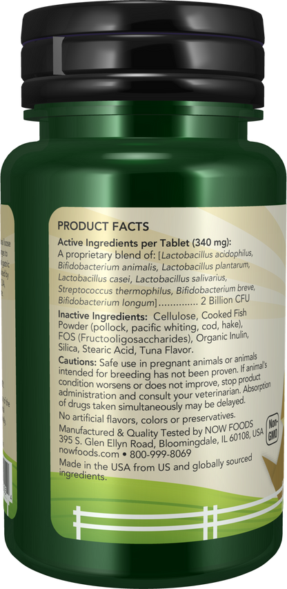 NOW Pet Health, G.I. Support Supplement, Cats & Dogs, 90 Chewable Tablets