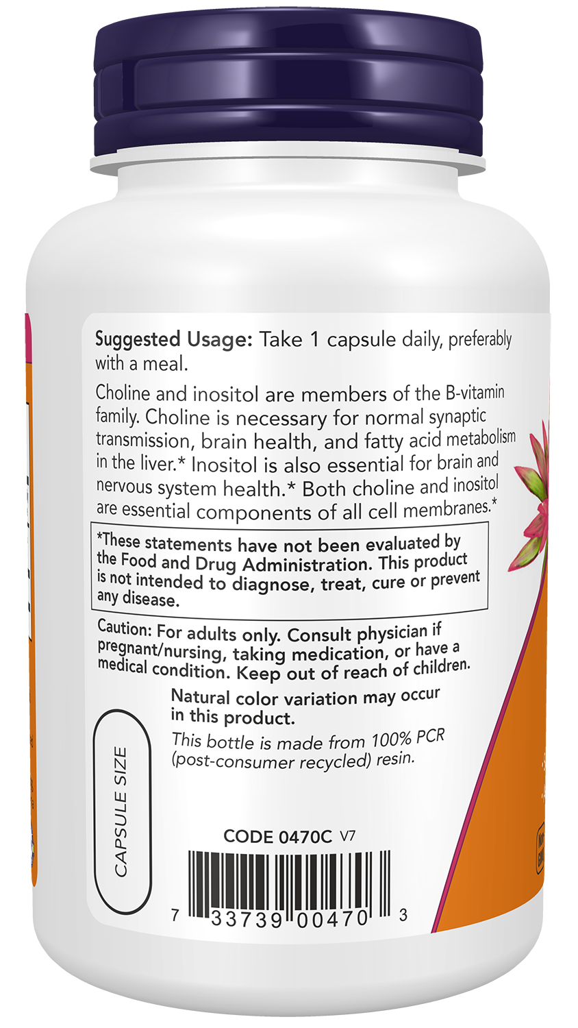 NOW Supplements, Choline & Inositol, Nervous System Health*, 100 Caps