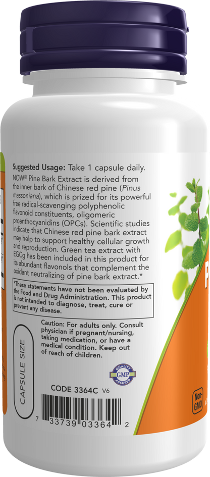 NOW Supplements, Pine Bark Extract 240 mg, 90% OPC Pine Bark, 90 Veg Caps