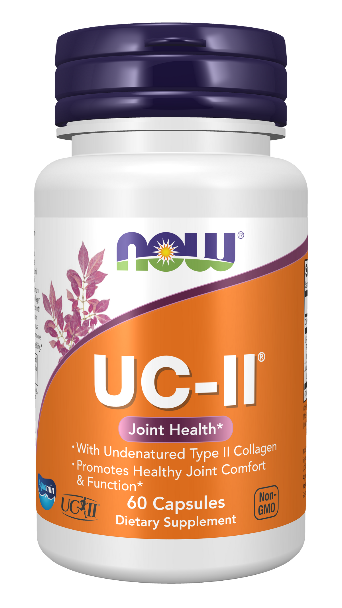 NOW Supplements, UC-II Type II Collagen w/ Undenatured Type II, 60 Veg Caps