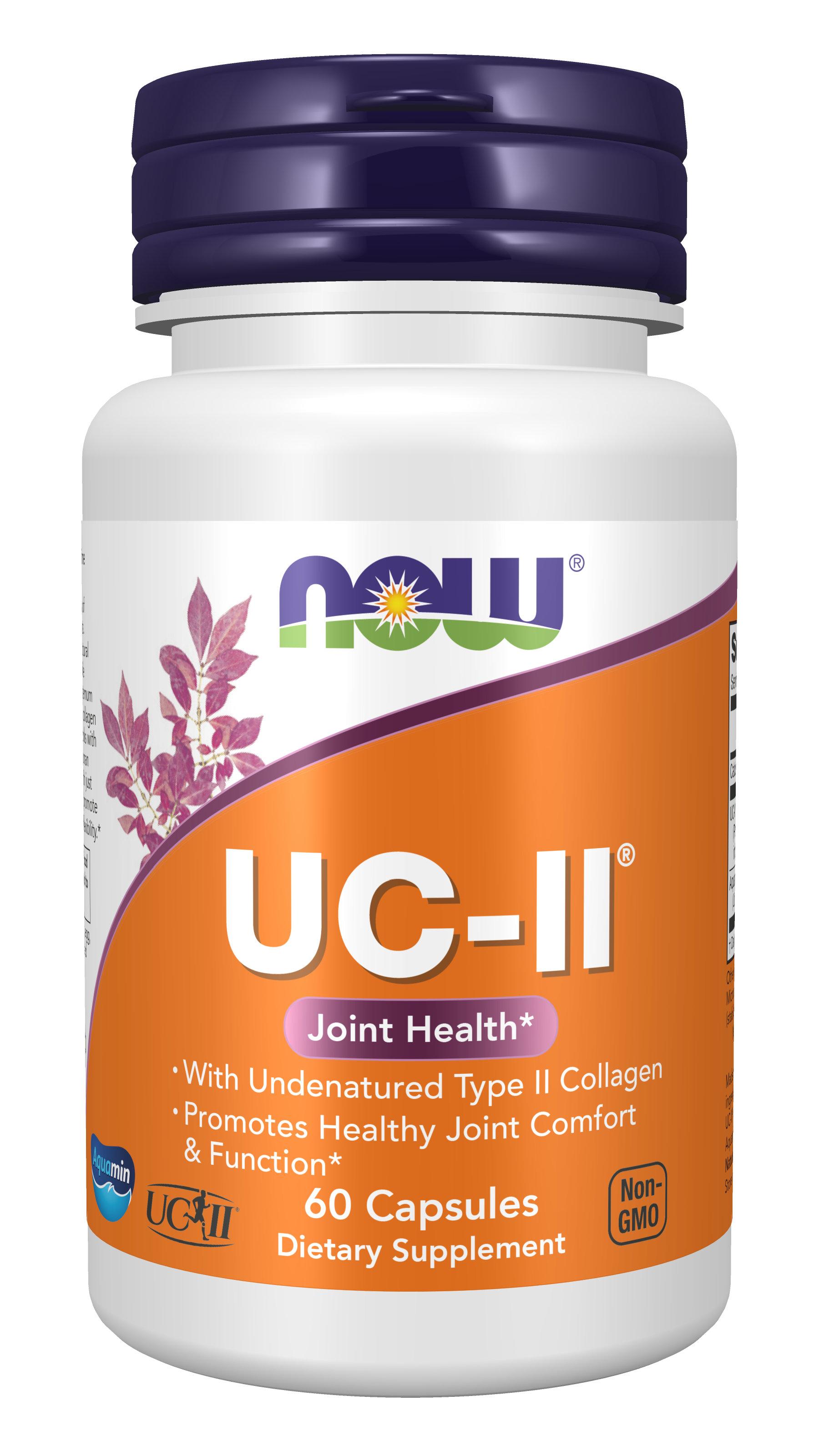NOW Supplements, UC-II Type II Collagen w/ Undenatured Type II, 60 Veg Caps