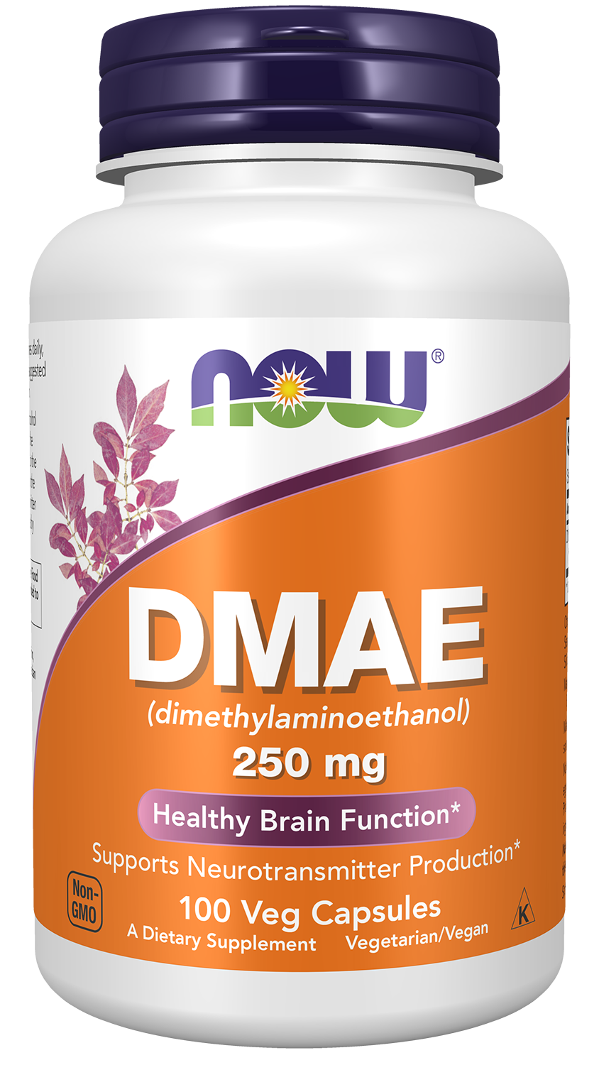 NOW Supplements, DMAE 250 mg, Healthy Brain Function*, 100 Veg Caps