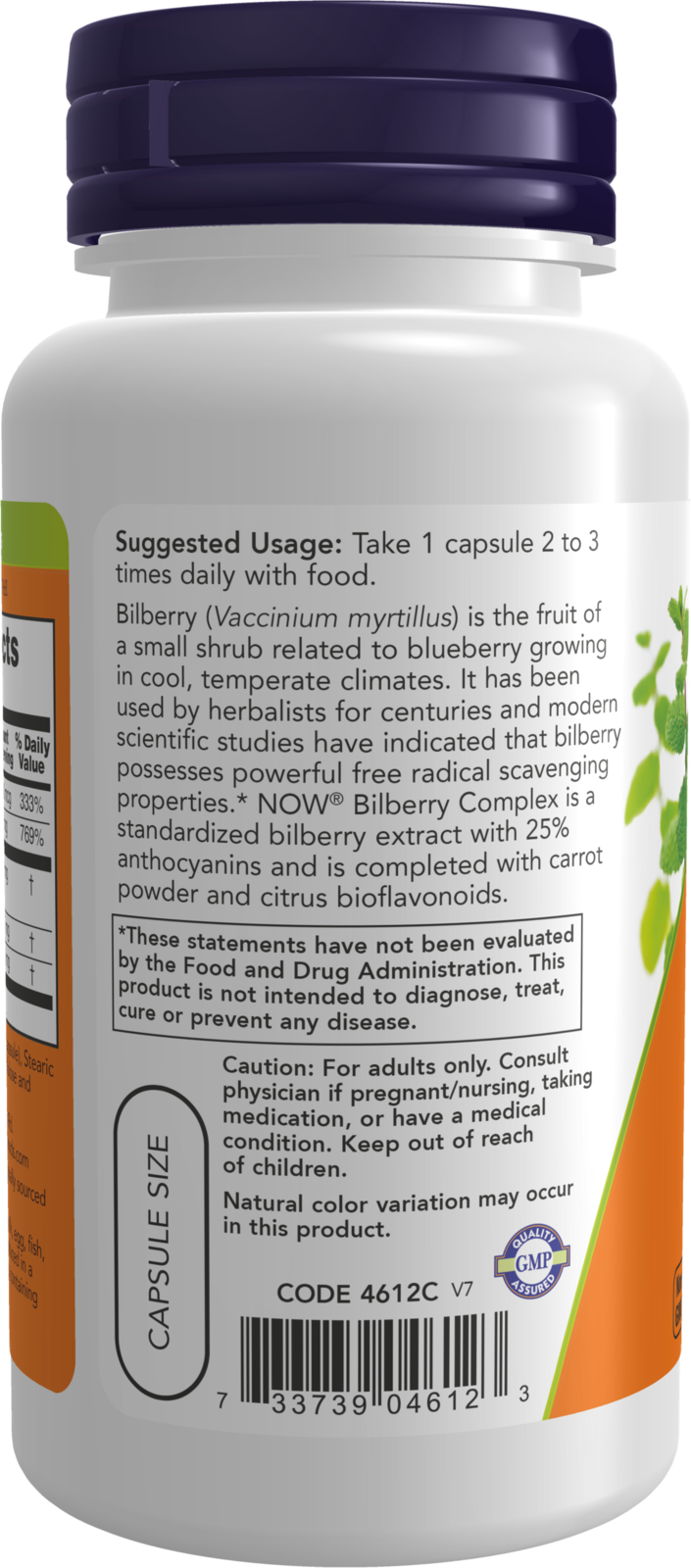 NOW Supplements, Bilberry Complex with Beta-Carotene, 100 Veg Caps
