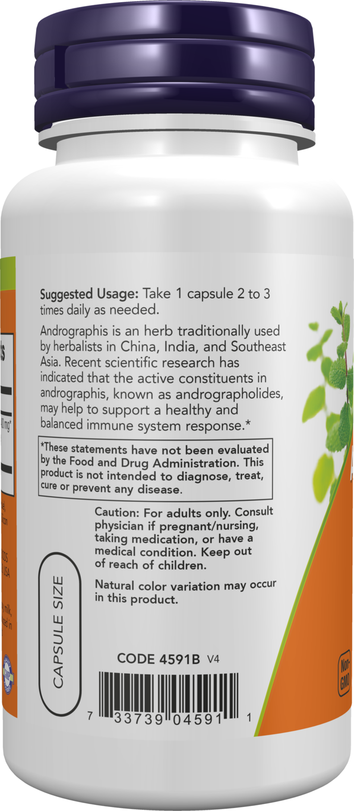 NOW Supplements, Andrographis Extract 400 mg Standardized Ext, 90 Veg Caps