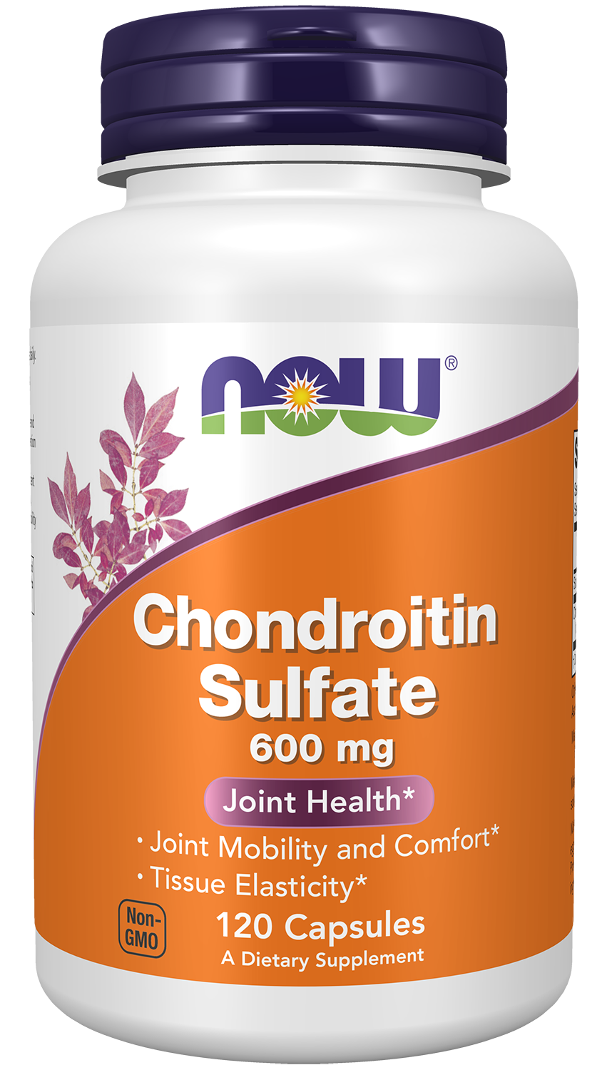 NOW Supplements, Chondroitin Sulfate 600 mg, Joint Support*, 120 Caps