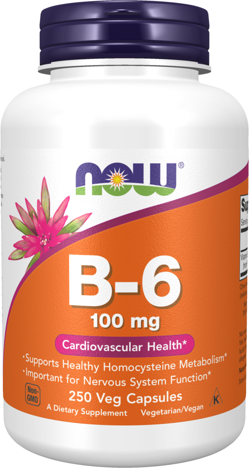 NOW Supplements, Vitamin B-6 (Pyridoxine HCl) 100 mg, 250 Veg Caps