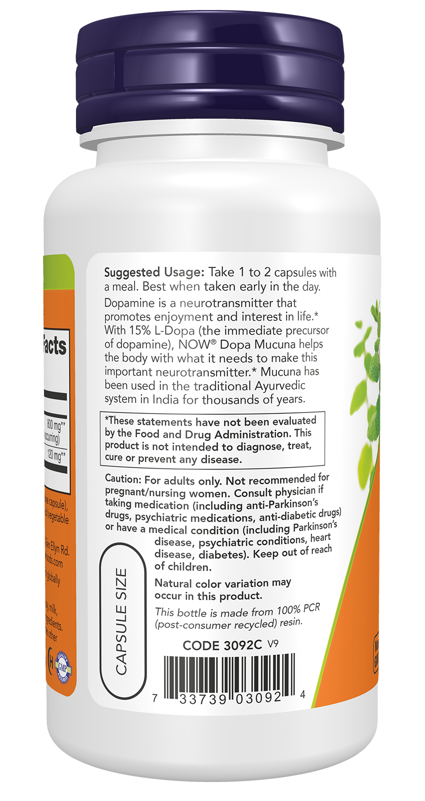 NOW Supplements, DOPA Mucuna, Standardized Mucuna Extract, 90 Veg Caps