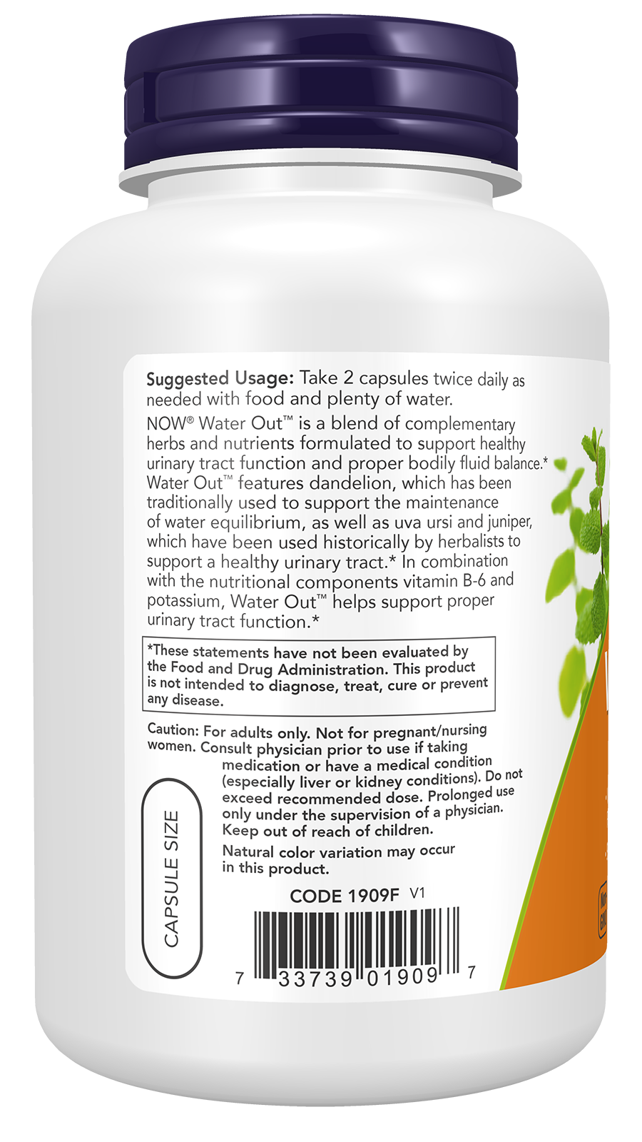 NOW Supplements, Water Out, Standardized Uva Ursi, Dandelion, 200 Veg Caps