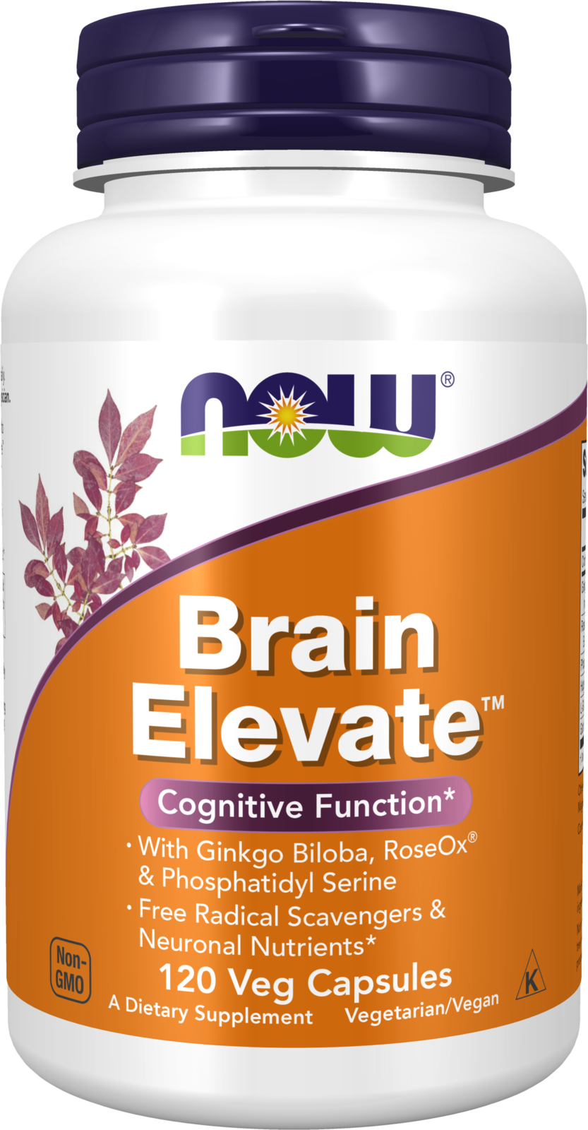 NOW Supplements, Brain Elevate™, Ginkgo Biloba & RoseOx®, 120 Veg Caps