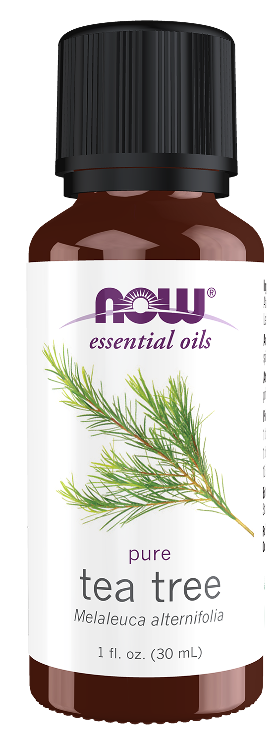 NOW Essential Oils, Tea Tree Oil, Undiluted, Steam Distilled, 1 fl. oz
